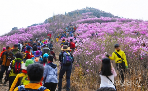 영취산 진달래축제 ... 방문객 '북적북적'(여수시제공)